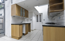 Gunnersbury kitchen extension leads